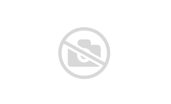 Мотоцикл дорожный SPRMOTORS WOLF 300 WC